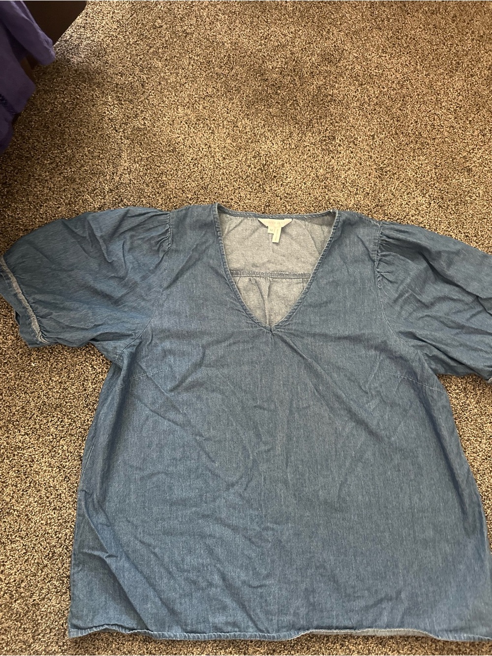 Draper James Blue V-Neck Chambray Tunic